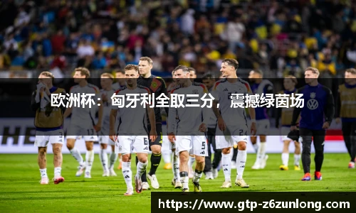 欧洲杯：匈牙利全取三分，震撼绿茵场
