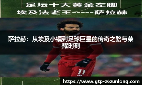 Z6·尊龙凯时