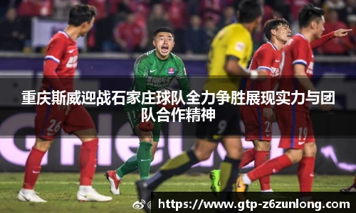 Z6·尊龙凯时